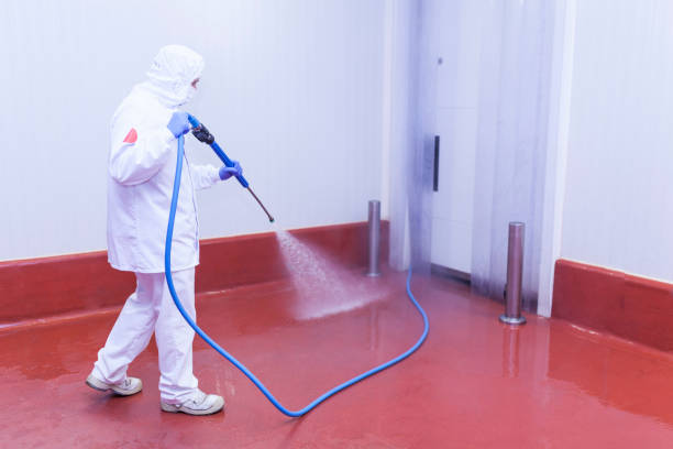 Animal Enclosure Cleaning in Fairwood, WA